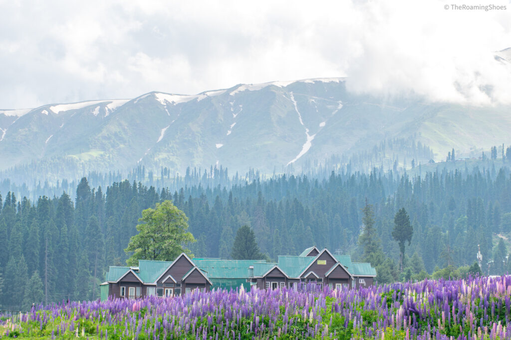 Gulmarg - Enjoy With Family