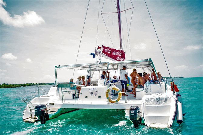 Day 6: Catamaran Cruise to the East Coast