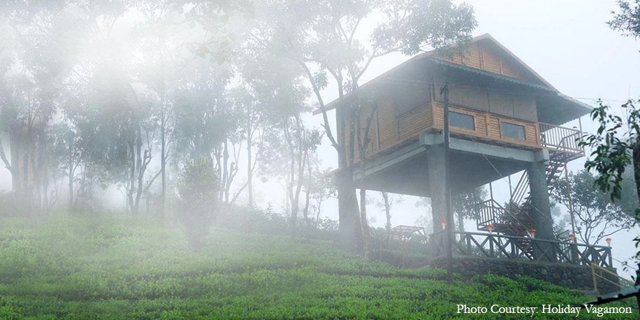 Day 7: Alleppey Houseboat