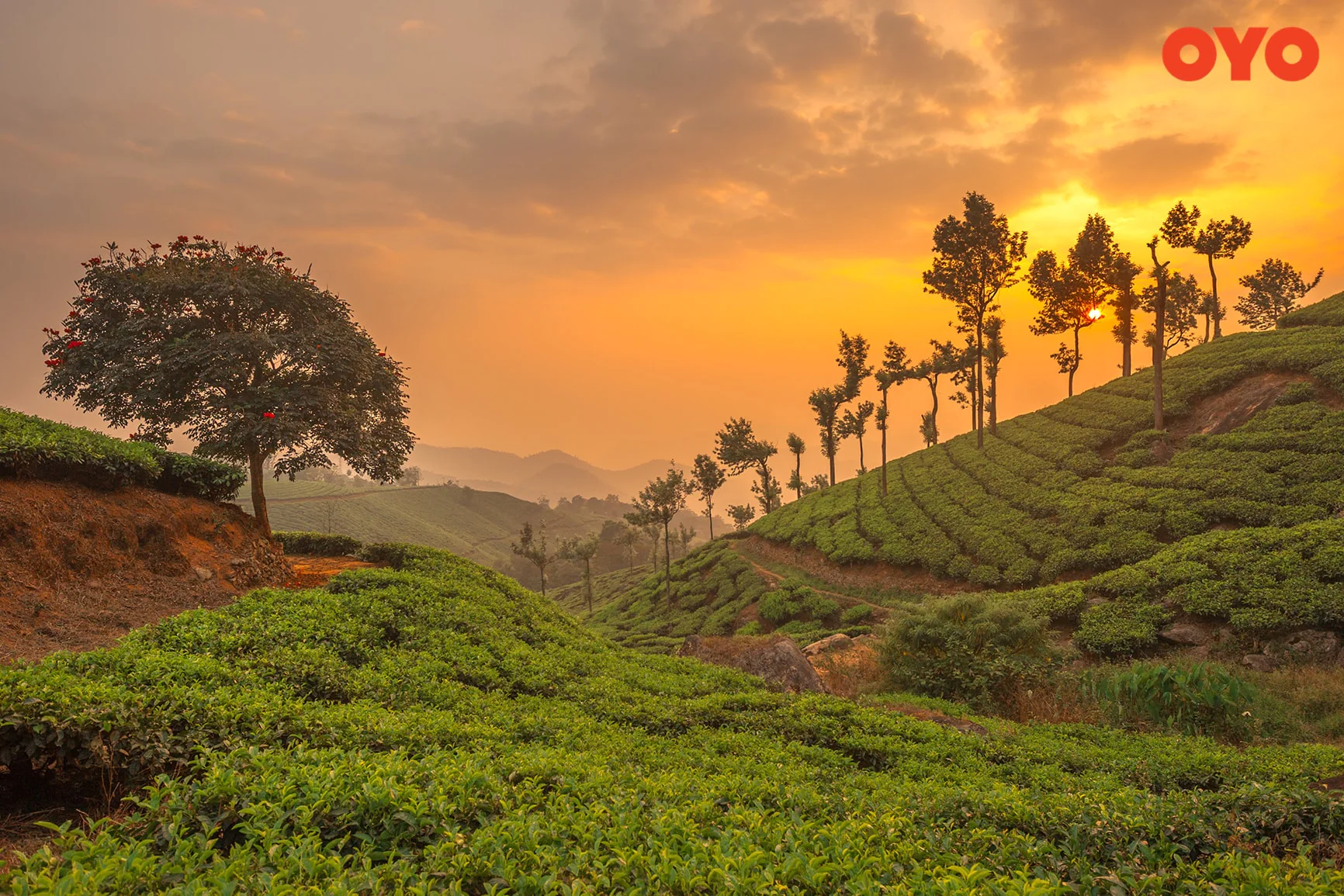 Day 2: Munnar Sightseeing