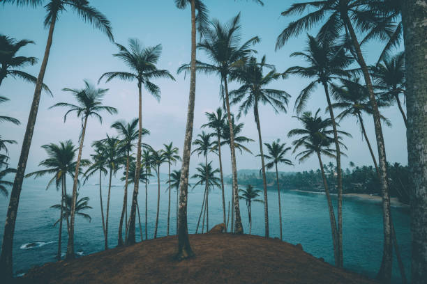 Day 1: Airport – Galle (Mirissa)