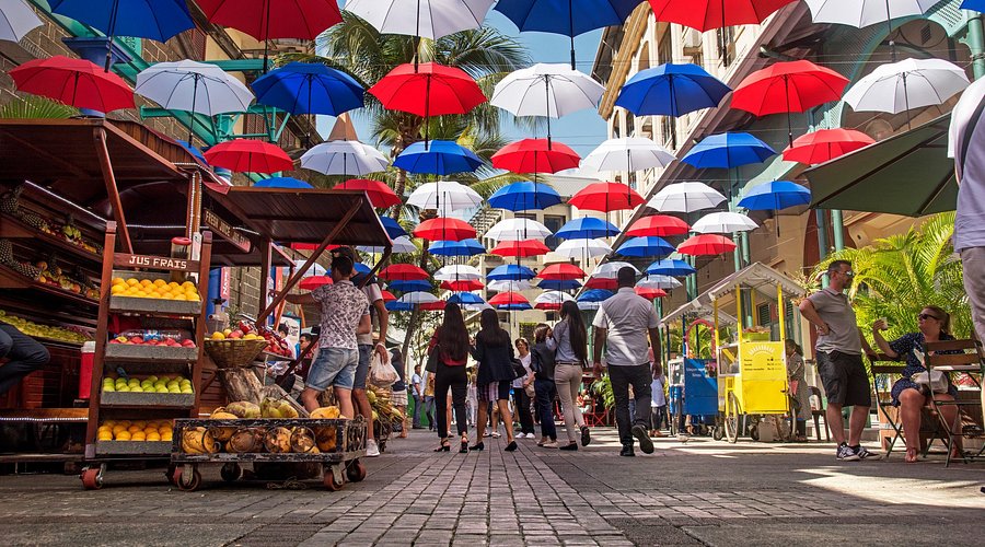 Day 2: North Island Tour – Capital City & Shopping